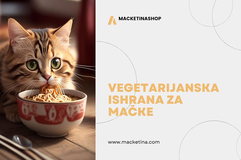 Vegetarijanska Ishrana za Mačke